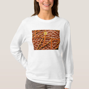 T-shirt Champignon de rouille pulvérulente sur la