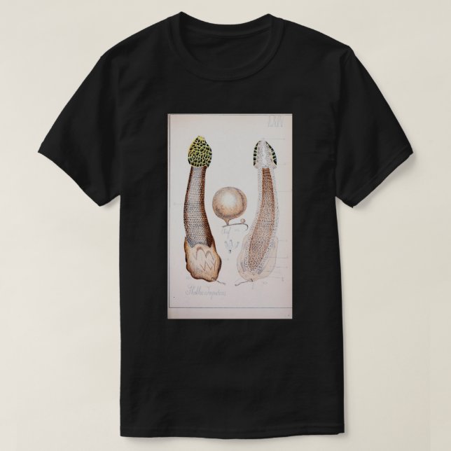 T-shirt Champignon phallus comestible et venimeux (Design devant)