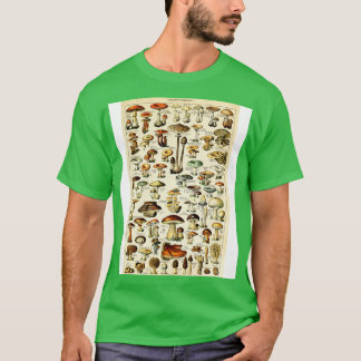T-shirt Champignons Champignons Vintage Botanique Illustra