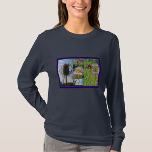 T-shirt Chardon de leville - Dipsacus fullonum