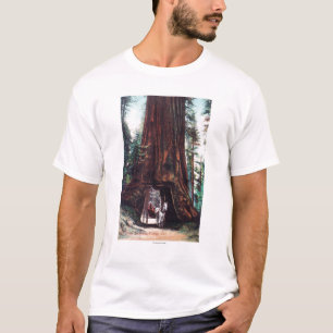 T-shirt Chariot voyageant sous un séquoia géant