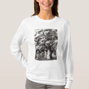 T-shirt Charles II caché dans le chêne