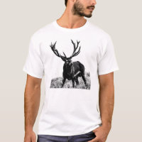 chasseur de cerfs communs