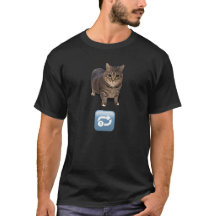 Chat à rotation infinie