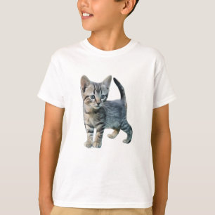 T-shirt Chat Cute Chats Kittens Cute Animaux