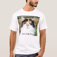 Chat de calicot