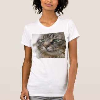 T-shirt Chat de ragondin du Maine