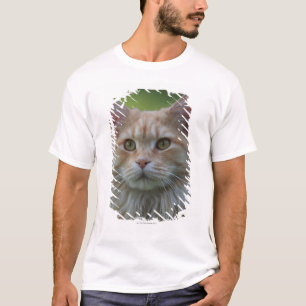 T-shirt Chat de ragondin principal