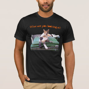 T-shirt chat de rue indépendant