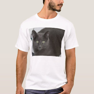 T-shirt Chat gris avec les yeux verts renversants