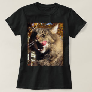 T-shirt chat Maine Coon