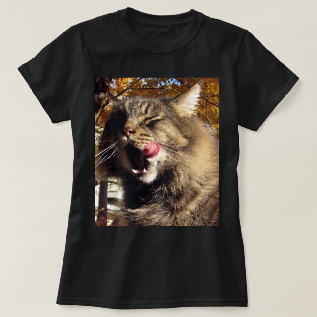T-shirt chat Maine Coon (Design devant)