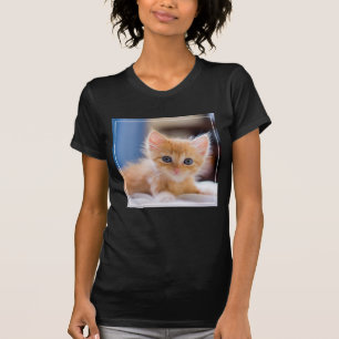 T-shirt Chat mignon avec des yeux bleus