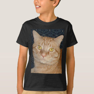 T-shirt Chat Tabby Orange