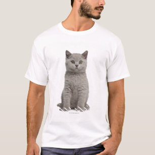 T-shirt Chaton britannique de Shorthair (10 semaines de) 2