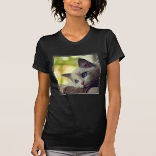 T-shirt Chaton de Ragdoll
