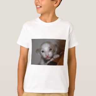 T-shirt Chaton ridiculement mignon