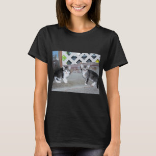 T-shirt Chatons
