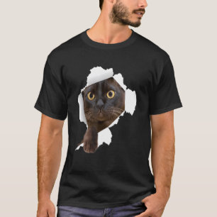 T-shirt Chats birmans Torn Cloth Kitten