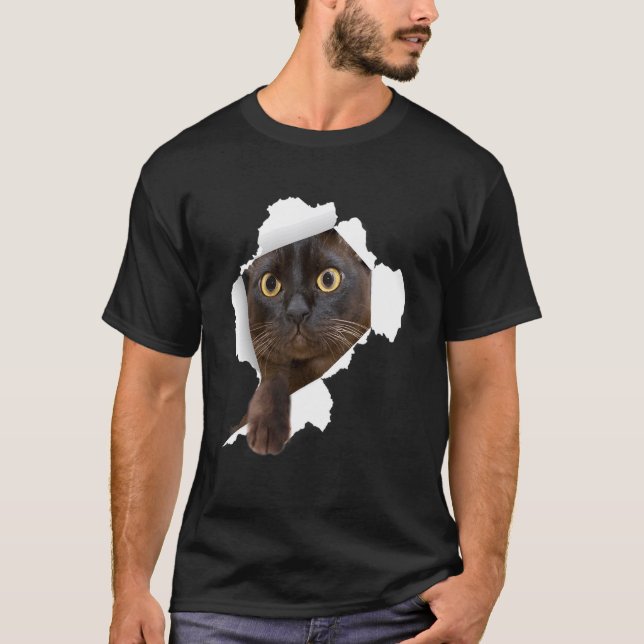 T-shirt Chats birmans Torn Cloth Kitten (Devant)