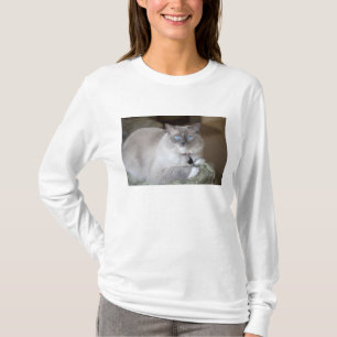 T-shirt Chatte Ragdoll