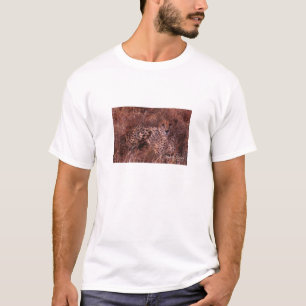 T-shirt Cheetah Stare