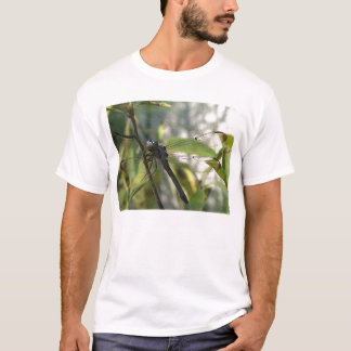 T-shirt Chemise à libellule bleue