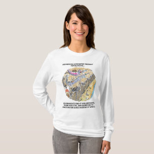 T-shirt Chemise à manches longues pour femmes