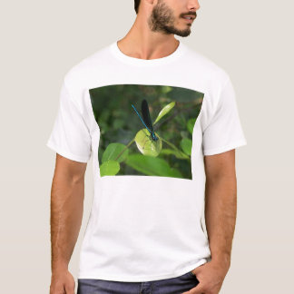T-shirt Chemise de beauté Damselfly