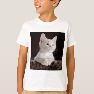 T-shirt chemise de chat
