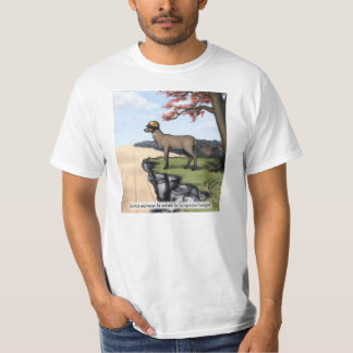 T-shirt Chemise de "couvre-chef"