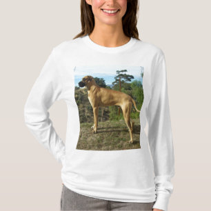 T-shirt Chemise de great dane