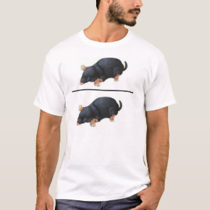 T-shirt Chemise de rapport molaire de Dom'e