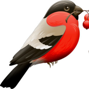 T-shirt Chemise d'été imprimée avec un oiseau en rouge, no