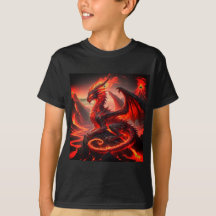 Chemise du Garçon du Dragon Feu