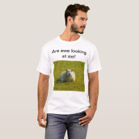 Chemise Ewe T
