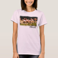 Chemise flamand rose de Floride