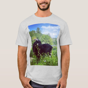 T-shirt Chemise imprimée Beethoven
