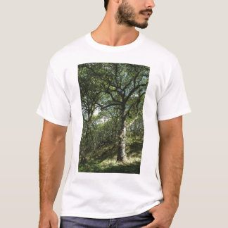 T-shirt Chênes antiques