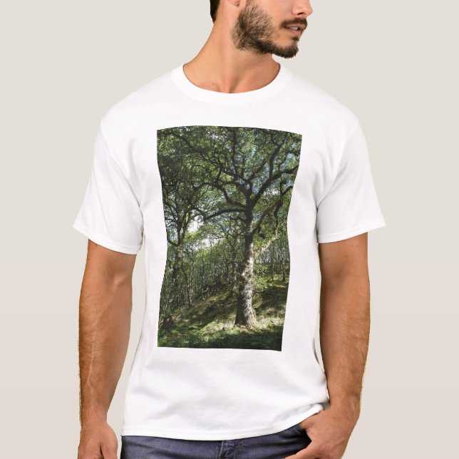 T-shirt Chênes antiques (Devant)