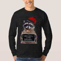 Cher Père Noël, Je Peux Expliquer Drôle Raccoon De