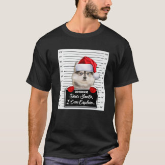 T-shirt Cher Père Noël, je peux expliquer Funny Christmas 