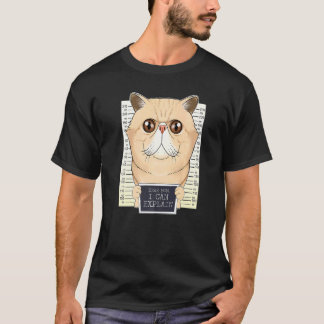 T-shirt Chère maman je peux expliquer Je suis une maman de