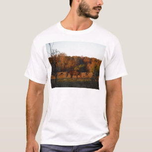T-shirt Cheval Brown rouge, bois d'automne.