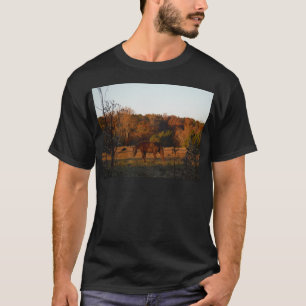 T-shirt Cheval Brown rouge, bois d'automne.