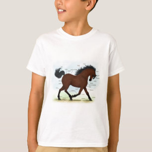 T-shirt Cheval De Baie Avec Lame Éducative Anatomique