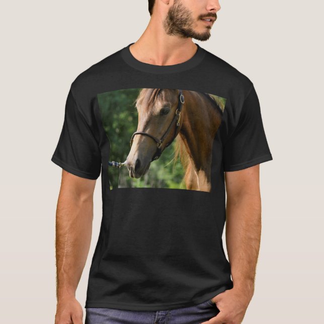 T-shirt Cheval de Morgan de peau de daim (Devant)