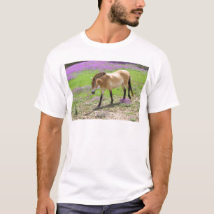 T-shirt Cheval de Przewalski