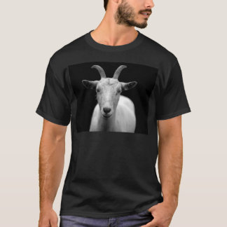 T-shirt Chèvre