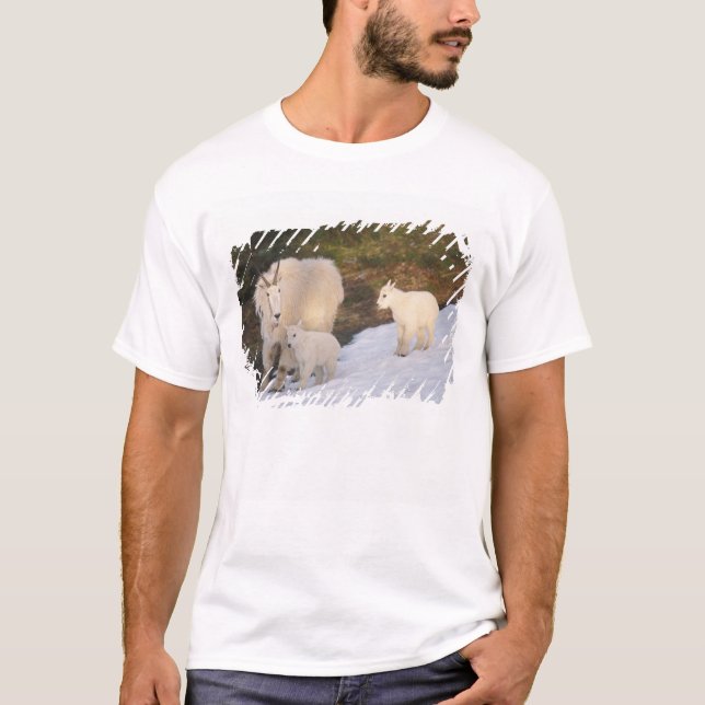 T-shirt chèvres des montagnes (Devant)